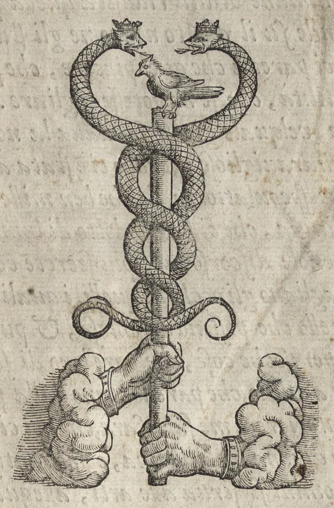An illustration from La pratica della perspettiva : opera molto vtile a pittori, a scvltori, & ad architetti : con due tauole, una de' capitoli principali, l'altra delle cose piu notabili contenue nella presente opera, 1568, leaf 4