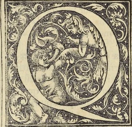 An illustration from Clavdii Ptolemaei Alexandrini Geographicae enarrationis libri octo, 1541, leaf 119