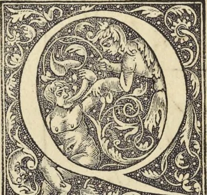 An illustration from Clavdii Ptolemaei Alexandrini Geographicae enarrationis libri octo, 1541, leaf 133