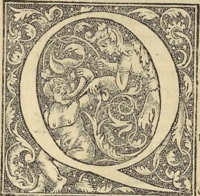 An illustration from Clavdii Ptolemaei Alexandrini Geographicae enarrationis libri octo, 1541, leaf 27