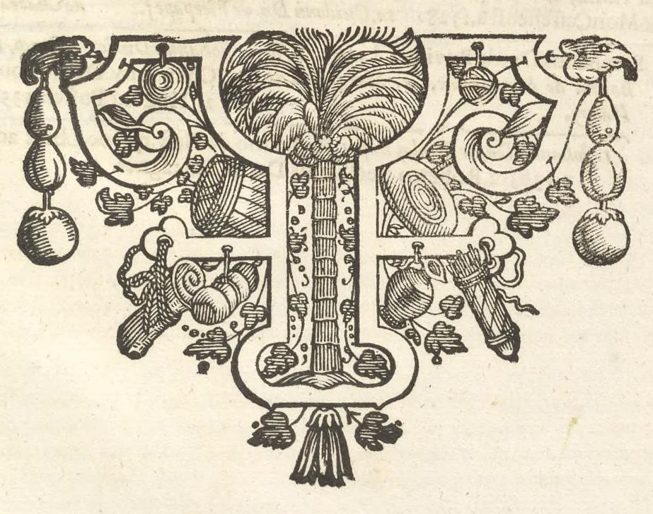 An illustration from Excellentium familiarum in Gallia genealogiae : a prima earundem origine usque ad praesens aevum deductae et notis historicis, quibus memorabilia regni Galliae, regumque et clarorum toga et sago virorum facta moresque ac dignitates recensentur, illustratae, cum iconibus insignium & indicibus necessariis, 1687, leaf 116