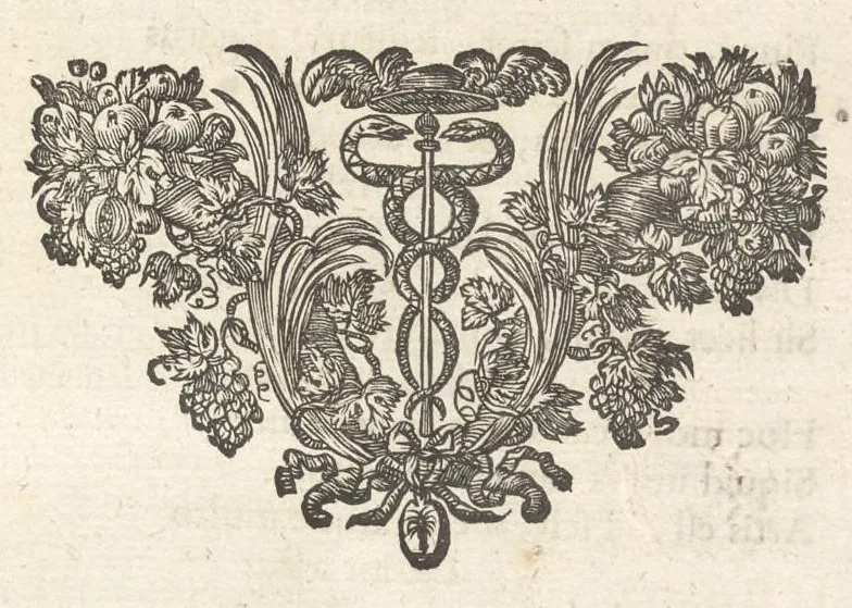 An illustration from Excellentium familiarum in Gallia genealogiae : a prima earundem origine usque ad praesens aevum deductae et notis historicis, quibus memorabilia regni Galliae, regumque et clarorum toga et sago virorum facta moresque ac dignitates recensentur, illustratae, cum iconibus insignium & indicibus necessariis, 1687, leaf 18