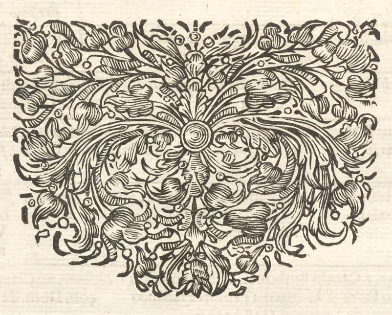 An illustration from Excellentium familiarum in Gallia genealogiae : a prima earundem origine usque ad praesens aevum deductae et notis historicis, quibus memorabilia regni Galliae, regumque et clarorum toga et sago virorum facta moresque ac dignitates recensentur, illustratae, cum iconibus insignium & indicibus necessariis, 1687, leaf 207