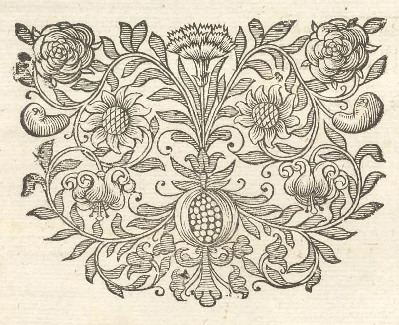 An illustration from Excellentium familiarum in Gallia genealogiae : a prima earundem origine usque ad praesens aevum deductae et notis historicis, quibus memorabilia regni Galliae, regumque et clarorum toga et sago virorum facta moresque ac dignitates recensentur, illustratae, cum iconibus insignium & indicibus necessariis, 1687, leaf 259