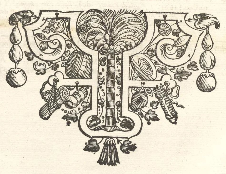An illustration from Excellentium familiarum in Gallia genealogiae : a prima earundem origine usque ad praesens aevum deductae et notis historicis, quibus memorabilia regni Galliae, regumque et clarorum toga et sago virorum facta moresque ac dignitates recensentur, illustratae, cum iconibus insignium & indicibus necessariis, 1687, leaf 311