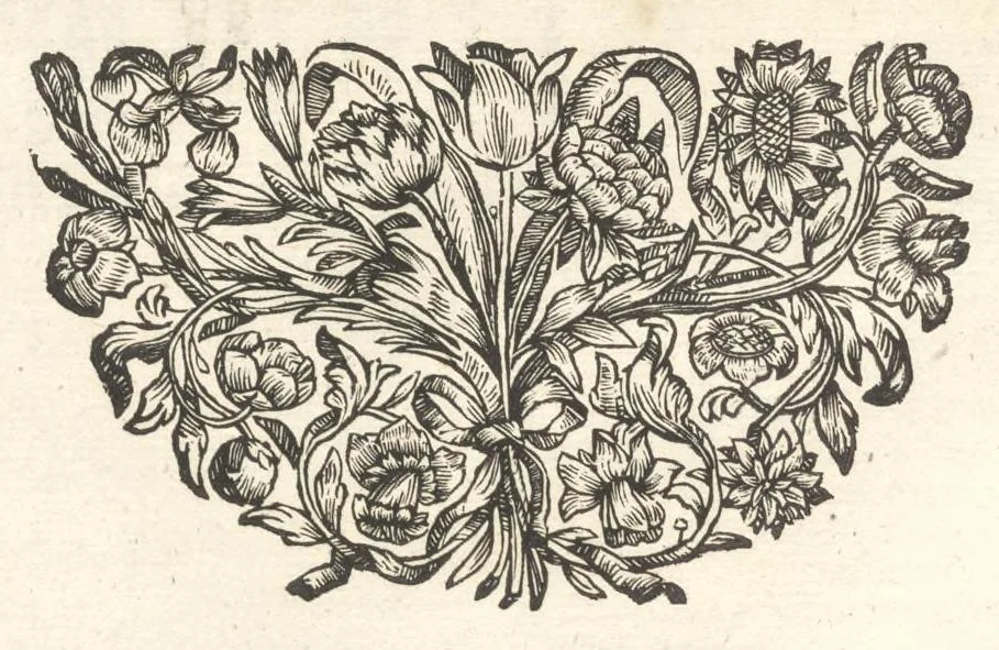 An illustration from Excellentium familiarum in Gallia genealogiae : a prima earundem origine usque ad praesens aevum deductae et notis historicis, quibus memorabilia regni Galliae, regumque et clarorum toga et sago virorum facta moresque ac dignitates recensentur, illustratae, cum iconibus insignium & indicibus necessariis, 1687, leaf 315