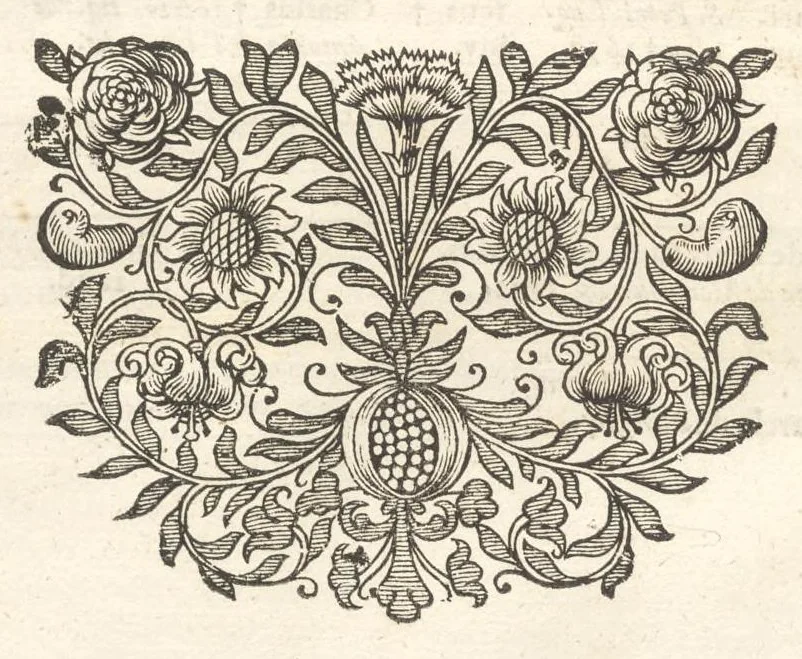 An illustration from Excellentium familiarum in Gallia genealogiae : a prima earundem origine usque ad praesens aevum deductae et notis historicis, quibus memorabilia regni Galliae, regumque et clarorum toga et sago virorum facta moresque ac dignitates recensentur, illustratae, cum iconibus insignium & indicibus necessariis, 1687, leaf 339