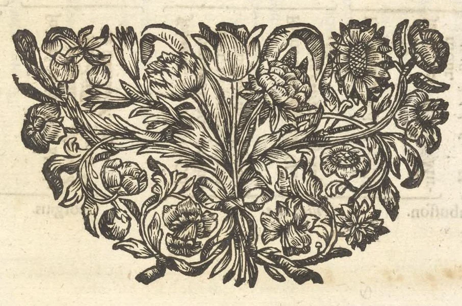 An illustration from Excellentium familiarum in Gallia genealogiae : a prima earundem origine usque ad praesens aevum deductae et notis historicis, quibus memorabilia regni Galliae, regumque et clarorum toga et sago virorum facta moresque ac dignitates recensentur, illustratae, cum iconibus insignium & indicibus necessariis, 1687, leaf 532