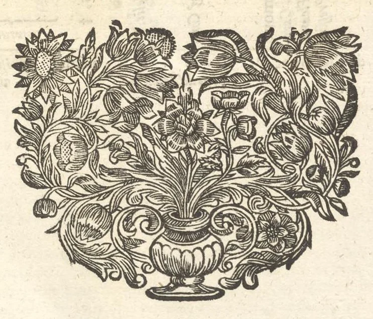 An illustration from Excellentium familiarum in Gallia genealogiae : a prima earundem origine usque ad praesens aevum deductae et notis historicis, quibus memorabilia regni Galliae, regumque et clarorum toga et sago virorum facta moresque ac dignitates recensentur, illustratae, cum iconibus insignium & indicibus necessariis, 1687, leaf 588