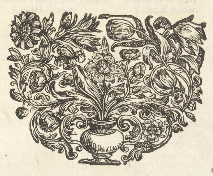 An illustration from Excellentium familiarum in Gallia genealogiae : a prima earundem origine usque ad praesens aevum deductae et notis historicis, quibus memorabilia regni Galliae, regumque et clarorum toga et sago virorum facta moresque ac dignitates recensentur, illustratae, cum iconibus insignium & indicibus necessariis, 1687, leaf 60