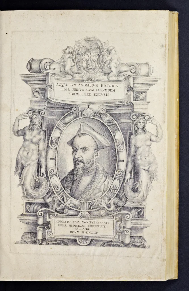An illustration from Aqvatilium animalivm historiæ, liber primvs : cum eorvmdem formis, ære excvsis, 1554, leaf 4