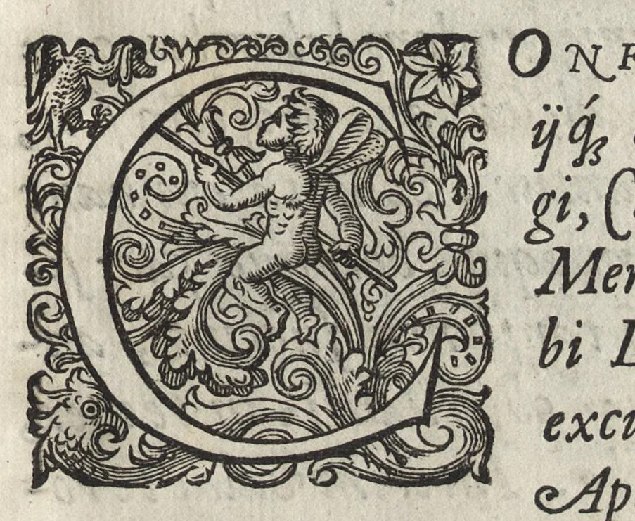 An illustration from Phytobasanos, sive plantarvm aliqvot historia : in qva describvntvr diversi generis plantæ veriores, ac magis facie, viribúsque respondentes antiquorum Theophrasti, Dioscoridis, Plinij, Galeni, aliorúmque delineationibus, ab alijs hucusque non animaduersæ, 1592, leaf 10