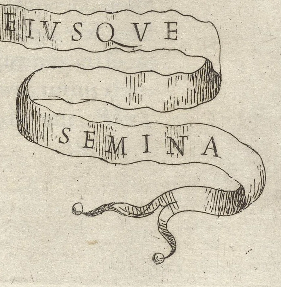 An illustration from Hesperides, siue, De malorum aureorum cultura et vsu libri quatuor, 1646, leaf 102