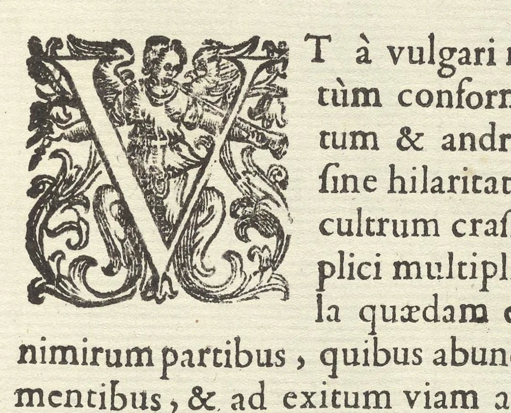 An illustration from Hesperides, siue, De malorum aureorum cultura et vsu libri quatuor, 1646, leaf 430