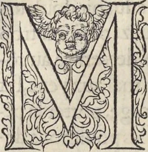 An illustration from L'histoire de la natvre des oyseavx : avec levrs descriptions, & naïfs portraicts retirez du natvrel, escrite en sept livres, 1555, leaf 109