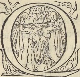 An illustration from L'histoire de la natvre des oyseavx : avec levrs descriptions, & naïfs portraicts retirez du natvrel, escrite en sept livres, 1555, leaf 11
