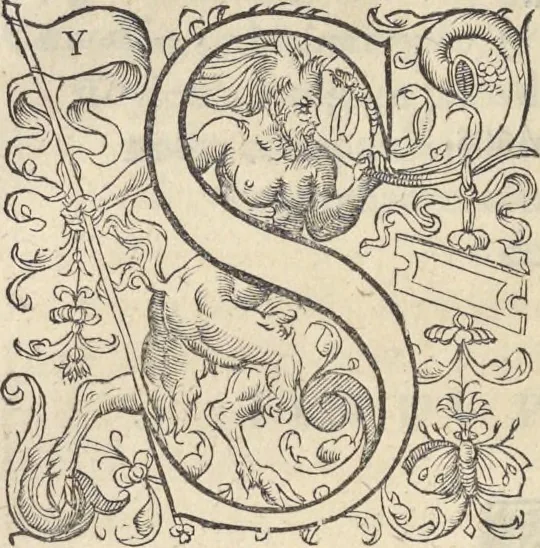 An illustration from L'histoire de la natvre des oyseavx : avec levrs descriptions, & naïfs portraicts retirez du natvrel, escrite en sept livres, 1555, leaf 113
