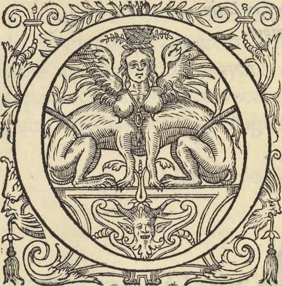 An illustration from L'histoire de la natvre des oyseavx : avec levrs descriptions, & naïfs portraicts retirez du natvrel, escrite en sept livres, 1555, leaf 114