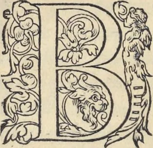 An illustration from L'histoire de la natvre des oyseavx : avec levrs descriptions, & naïfs portraicts retirez du natvrel, escrite en sept livres, 1555, leaf 123