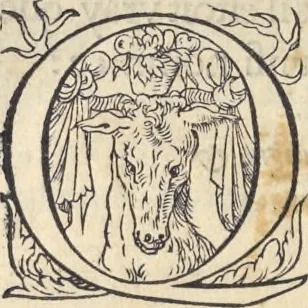 An illustration from L'histoire de la natvre des oyseavx : avec levrs descriptions, & naïfs portraicts retirez du natvrel, escrite en sept livres, 1555, leaf 127