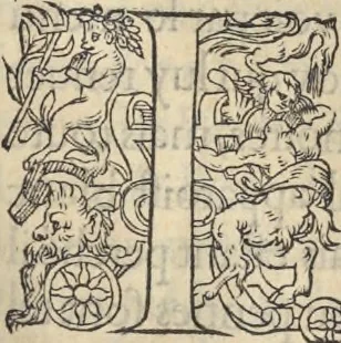 An illustration from L'histoire de la natvre des oyseavx : avec levrs descriptions, & naïfs portraicts retirez du natvrel, escrite en sept livres, 1555, leaf 132