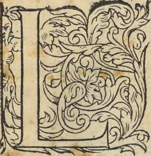 An illustration from L'histoire de la natvre des oyseavx : avec levrs descriptions, & naïfs portraicts retirez du natvrel, escrite en sept livres, 1555, leaf 134