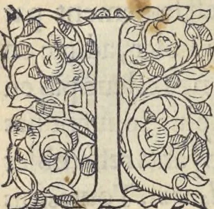 An illustration from L'histoire de la natvre des oyseavx : avec levrs descriptions, & naïfs portraicts retirez du natvrel, escrite en sept livres, 1555, leaf 135