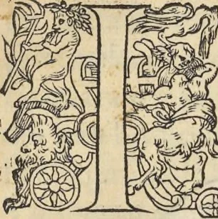 An illustration from L'histoire de la natvre des oyseavx : avec levrs descriptions, & naïfs portraicts retirez du natvrel, escrite en sept livres, 1555, leaf 136