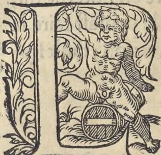 An illustration from L'histoire de la natvre des oyseavx : avec levrs descriptions, & naïfs portraicts retirez du natvrel, escrite en sept livres, 1555, leaf 143