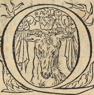 An illustration from L'histoire de la natvre des oyseavx : avec levrs descriptions, & naïfs portraicts retirez du natvrel, escrite en sept livres, 1555, leaf 152