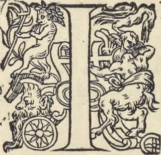An illustration from L'histoire de la natvre des oyseavx : avec levrs descriptions, & naïfs portraicts retirez du natvrel, escrite en sept livres, 1555, leaf 157