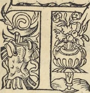 An illustration from L'histoire de la natvre des oyseavx : avec levrs descriptions, & naïfs portraicts retirez du natvrel, escrite en sept livres, 1555, leaf 160