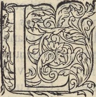 An illustration from L'histoire de la natvre des oyseavx : avec levrs descriptions, & naïfs portraicts retirez du natvrel, escrite en sept livres, 1555, leaf 163
