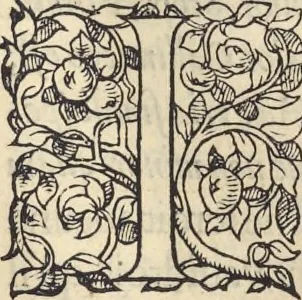 An illustration from L'histoire de la natvre des oyseavx : avec levrs descriptions, & naïfs portraicts retirez du natvrel, escrite en sept livres, 1555, leaf 164