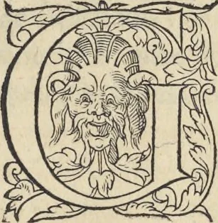 An illustration from L'histoire de la natvre des oyseavx : avec levrs descriptions, & naïfs portraicts retirez du natvrel, escrite en sept livres, 1555, leaf 166