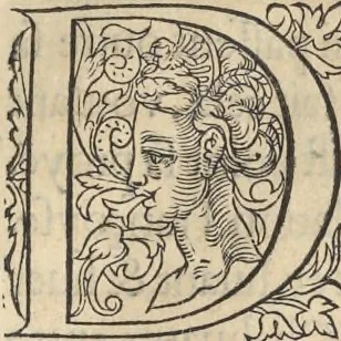 An illustration from L'histoire de la natvre des oyseavx : avec levrs descriptions, & naïfs portraicts retirez du natvrel, escrite en sept livres, 1555, leaf 170