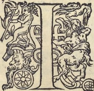 An illustration from L'histoire de la natvre des oyseavx : avec levrs descriptions, & naïfs portraicts retirez du natvrel, escrite en sept livres, 1555, leaf 171