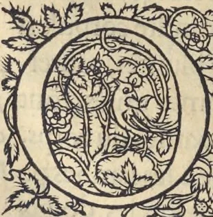 An illustration from L'histoire de la natvre des oyseavx : avec levrs descriptions, & naïfs portraicts retirez du natvrel, escrite en sept livres, 1555, leaf 173