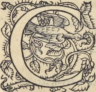 An illustration from L'histoire de la natvre des oyseavx : avec levrs descriptions, & naïfs portraicts retirez du natvrel, escrite en sept livres, 1555, leaf 175