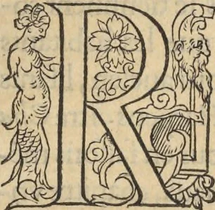 An illustration from L'histoire de la natvre des oyseavx : avec levrs descriptions, & naïfs portraicts retirez du natvrel, escrite en sept livres, 1555, leaf 176