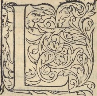 An illustration from L'histoire de la natvre des oyseavx : avec levrs descriptions, & naïfs portraicts retirez du natvrel, escrite en sept livres, 1555, leaf 177