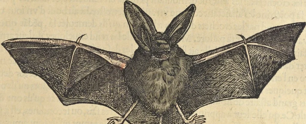 An illustration from L'histoire de la natvre des oyseavx : avec levrs descriptions, & naïfs portraicts retirez du natvrel, escrite en sept livres, 1555, leaf 178