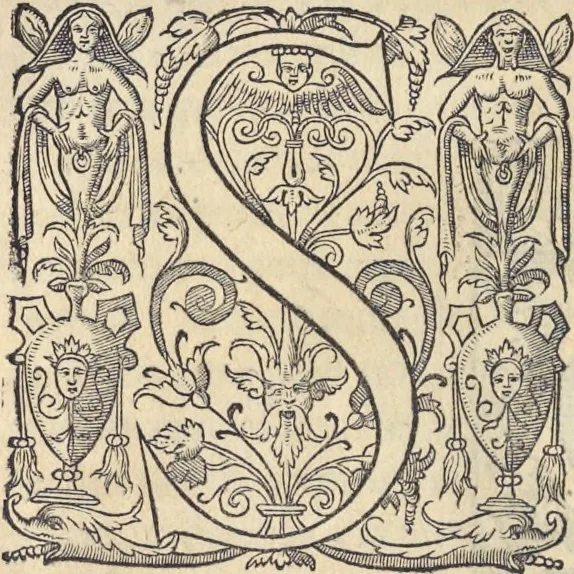 An illustration from L'histoire de la natvre des oyseavx : avec levrs descriptions, & naïfs portraicts retirez du natvrel, escrite en sept livres, 1555, leaf 181