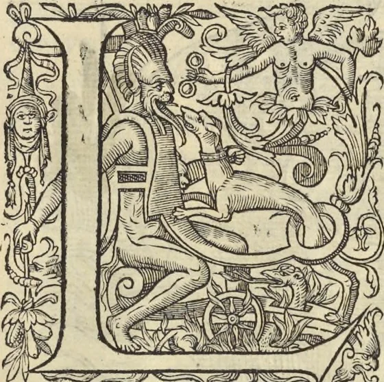 An illustration from L'histoire de la natvre des oyseavx : avec levrs descriptions, & naïfs portraicts retirez du natvrel, escrite en sept livres, 1555, leaf 182