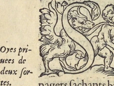 An illustration from L'histoire de la natvre des oyseavx : avec levrs descriptions, & naïfs portraicts retirez du natvrel, escrite en sept livres, 1555, leaf 187