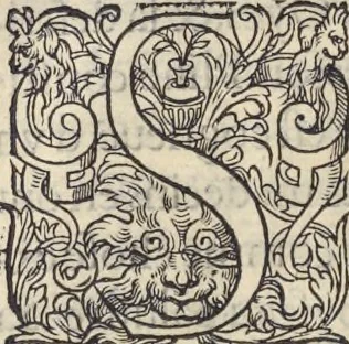 An illustration from L'histoire de la natvre des oyseavx : avec levrs descriptions, & naïfs portraicts retirez du natvrel, escrite en sept livres, 1555, leaf 189