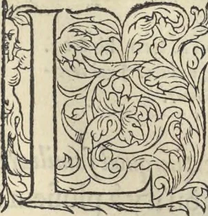 An illustration from L'histoire de la natvre des oyseavx : avec levrs descriptions, & naïfs portraicts retirez du natvrel, escrite en sept livres, 1555, leaf 192