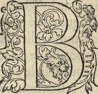 An illustration from L'histoire de la natvre des oyseavx : avec levrs descriptions, & naïfs portraicts retirez du natvrel, escrite en sept livres, 1555, leaf 194