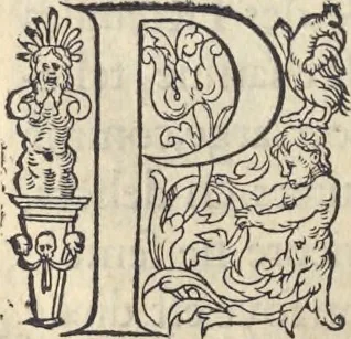 An illustration from L'histoire de la natvre des oyseavx : avec levrs descriptions, & naïfs portraicts retirez du natvrel, escrite en sept livres, 1555, leaf 197