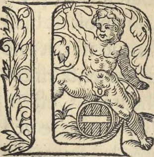 An illustration from L'histoire de la natvre des oyseavx : avec levrs descriptions, & naïfs portraicts retirez du natvrel, escrite en sept livres, 1555, leaf 198